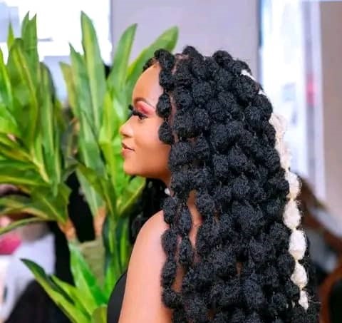 Bubble Braids Style